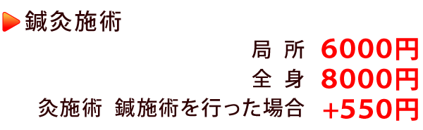 鍼灸施術